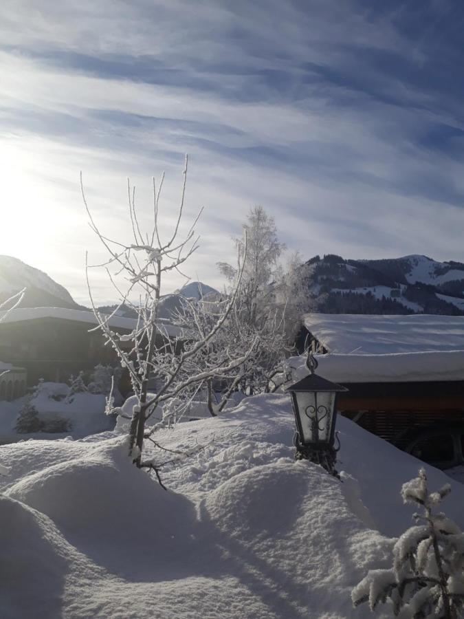 Appartement Haus Erika à Brixen im Thale Extérieur photo